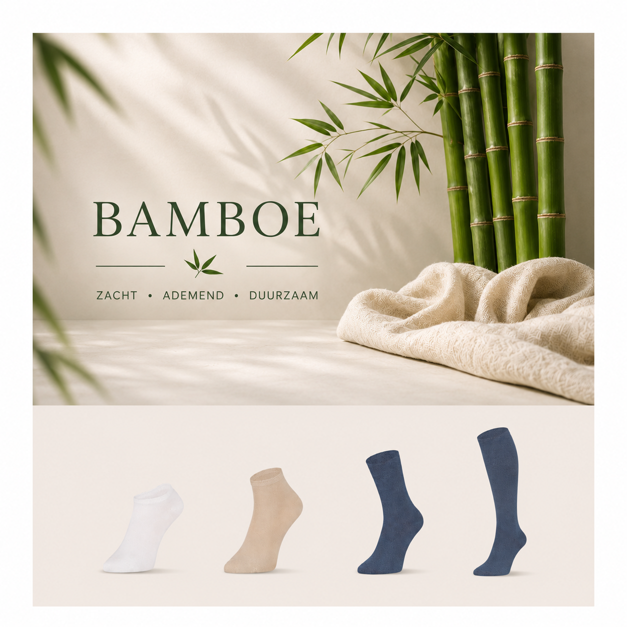 Bamboe