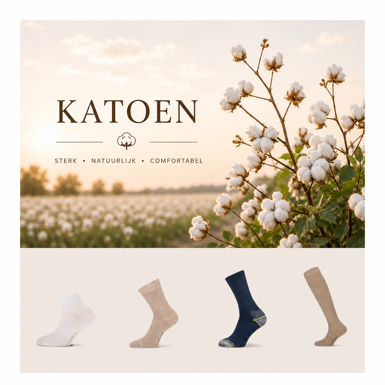 Katoen